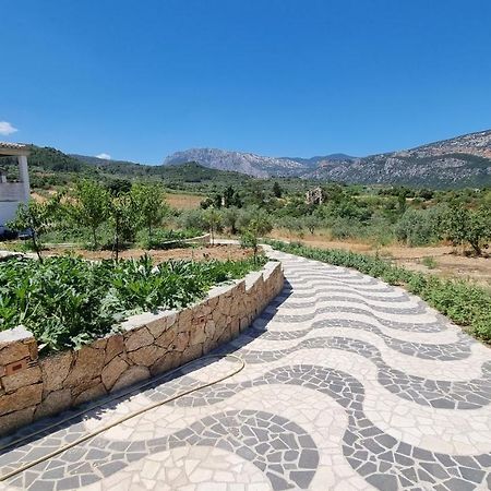 Villa Biriculi Dorgali Buitenkant foto