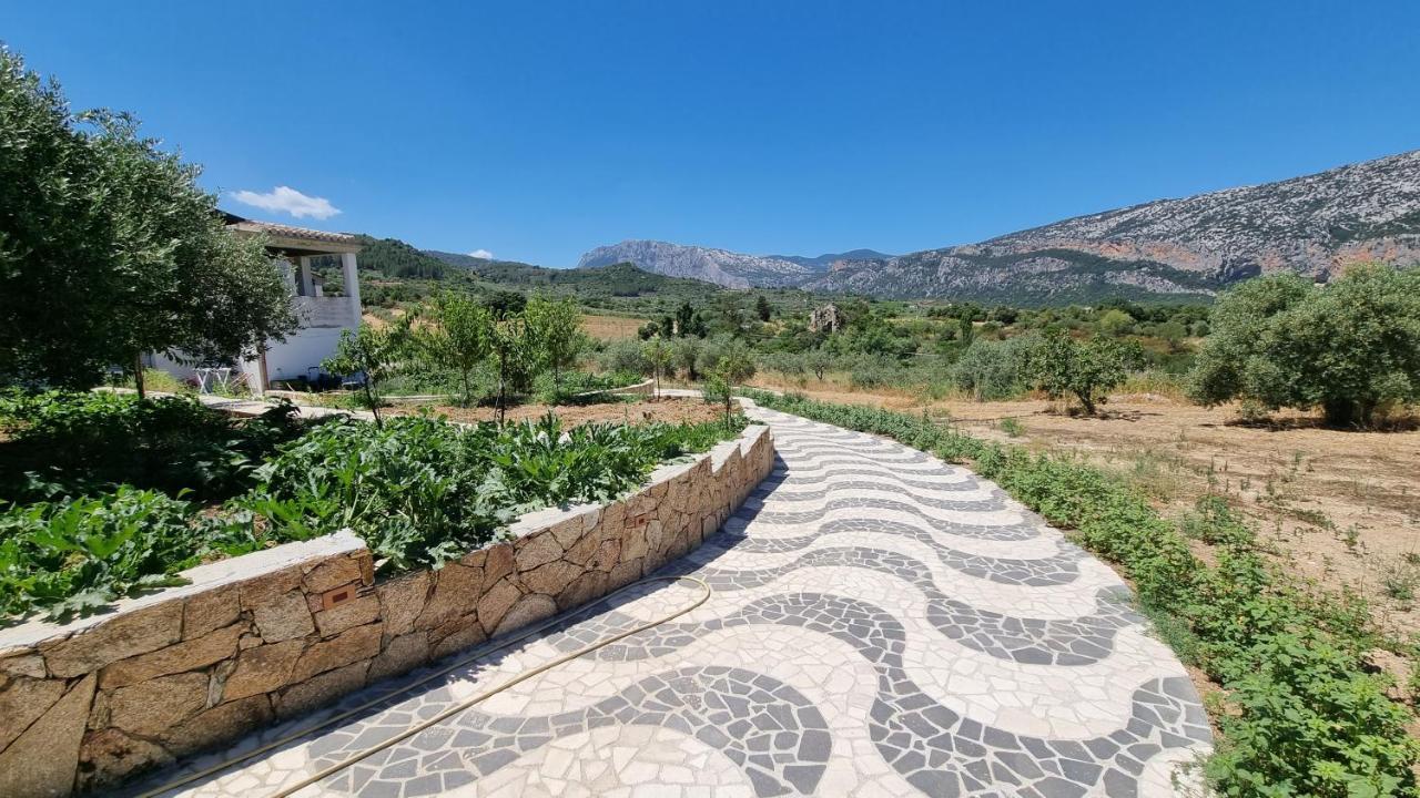Villa Biriculi Dorgali Buitenkant foto
