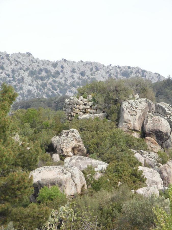 Villa Biriculi Dorgali Buitenkant foto